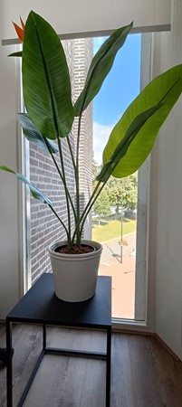 Medium property photo - Havenzicht 10, 6051 EC Maasbracht